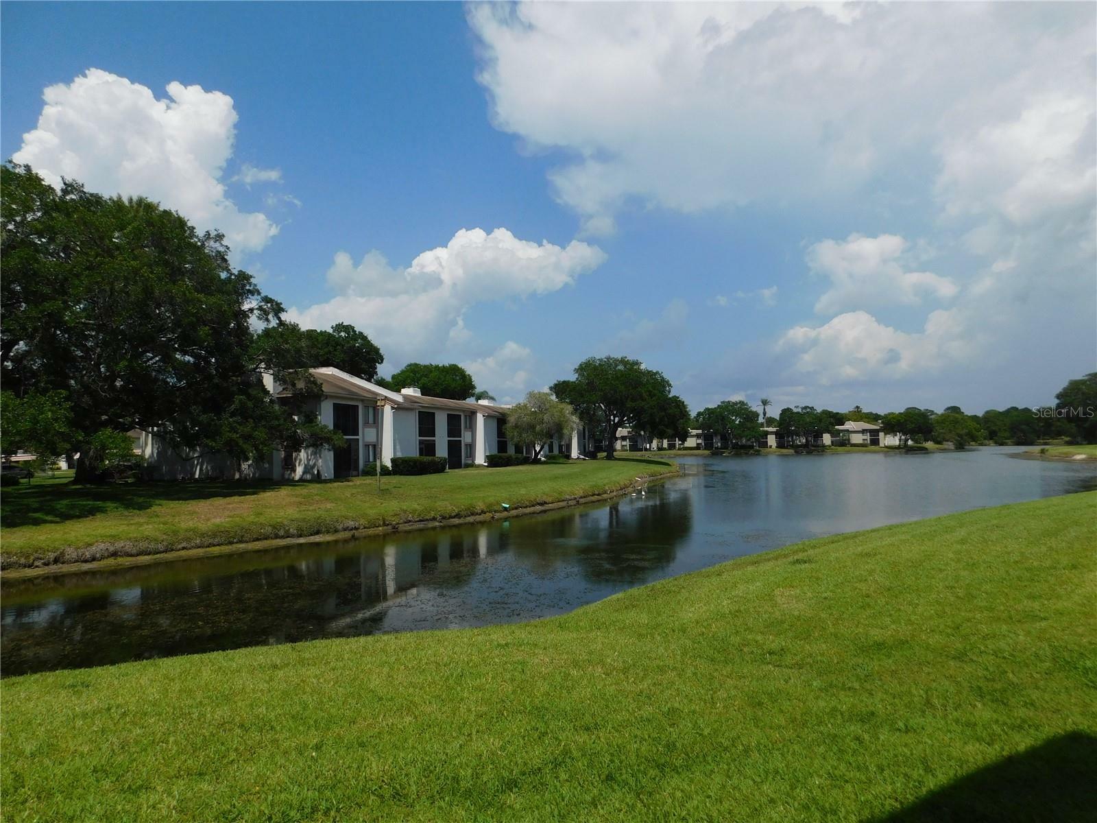 Property Photo:  147 Lakeside Drive  FL 34677 