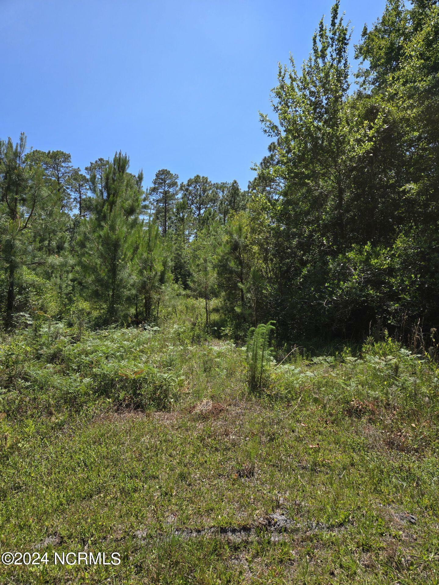 Property Photo:  361 Sunset Road  NC 28461 