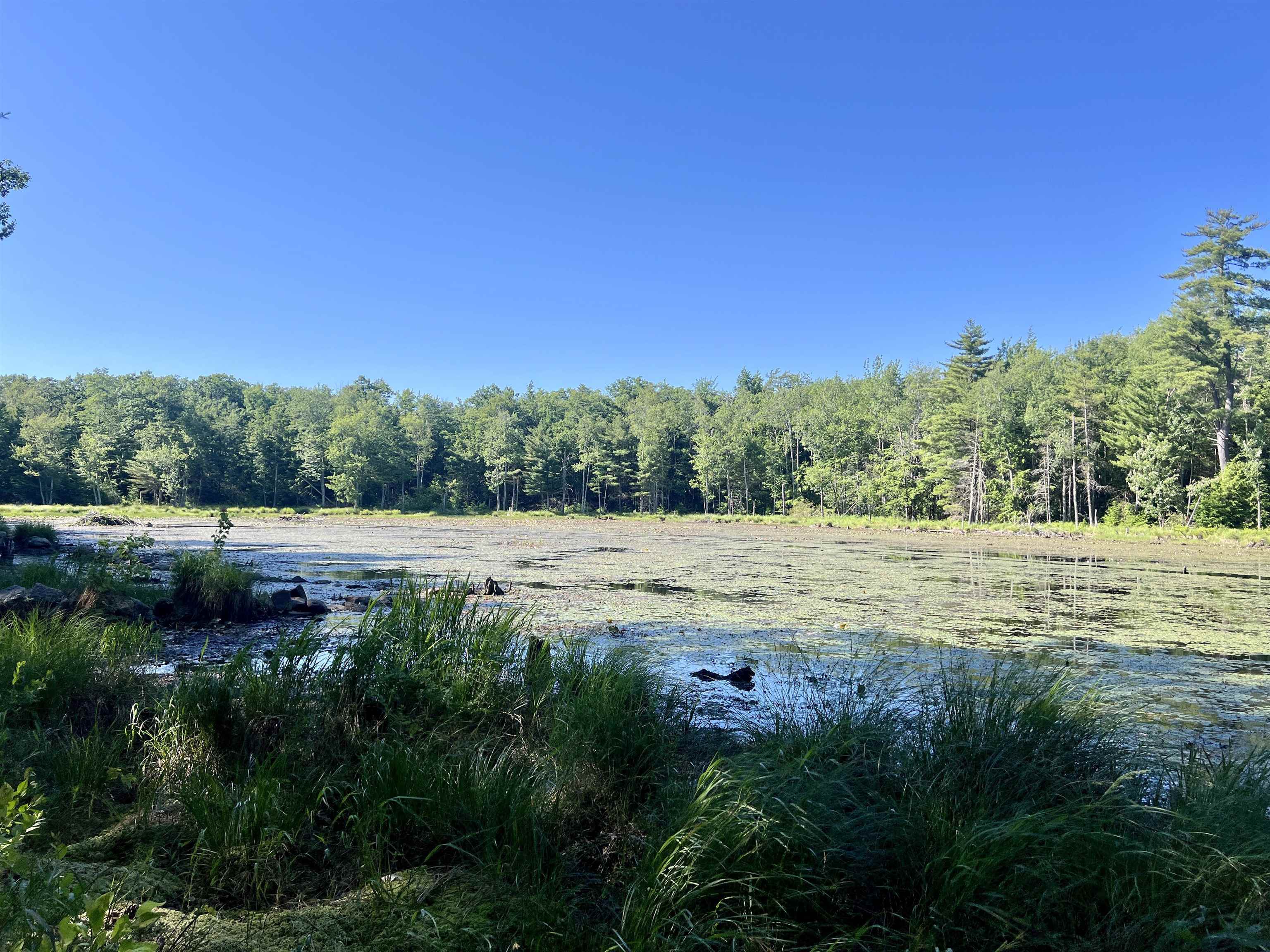 Property Photo:  Map 231 Lot 27-1 Green Street  NH 03261 