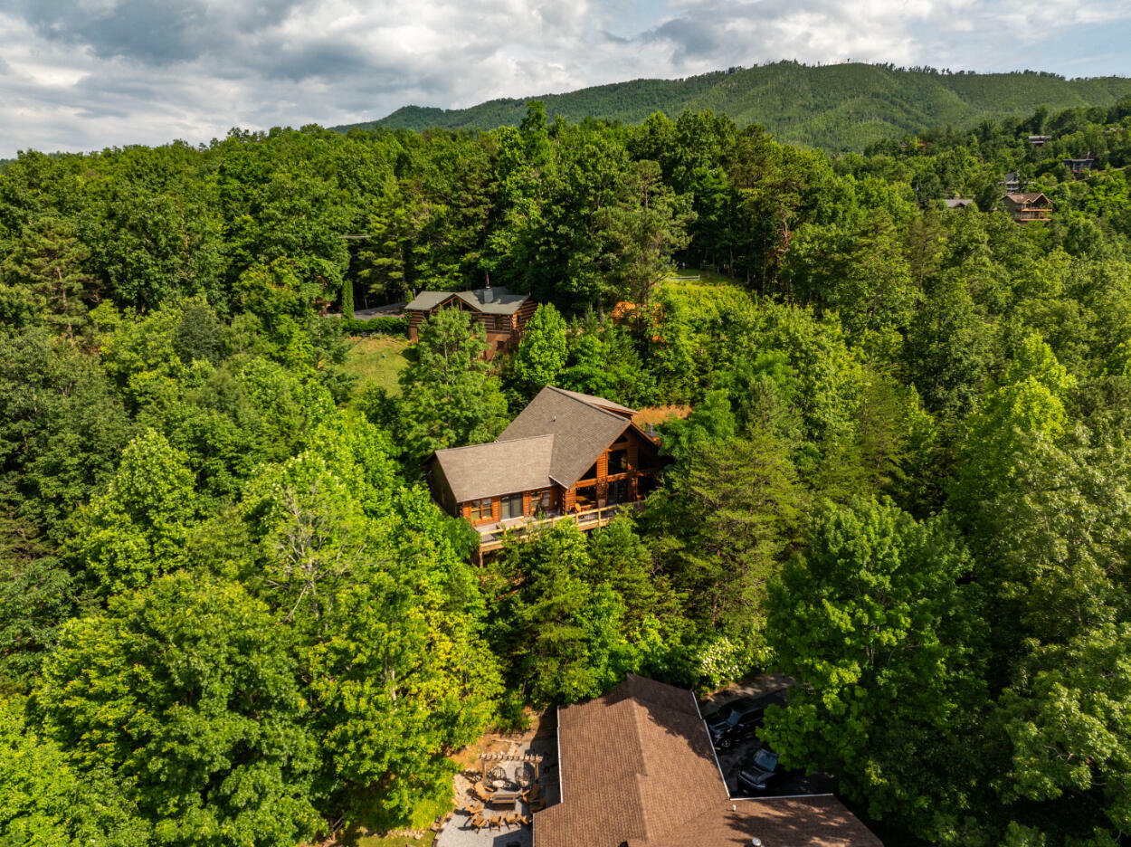 Property Photo:  3902 Duck Hollow Road  TN 37738 