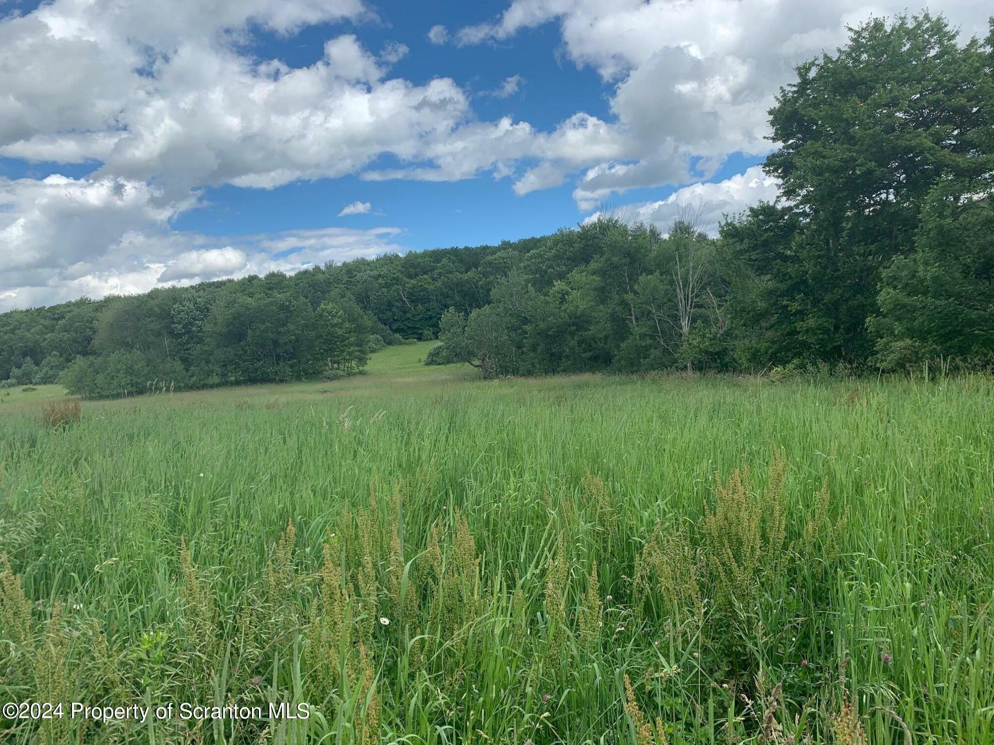 0 County Line Road  Laceyville PA 18623 photo