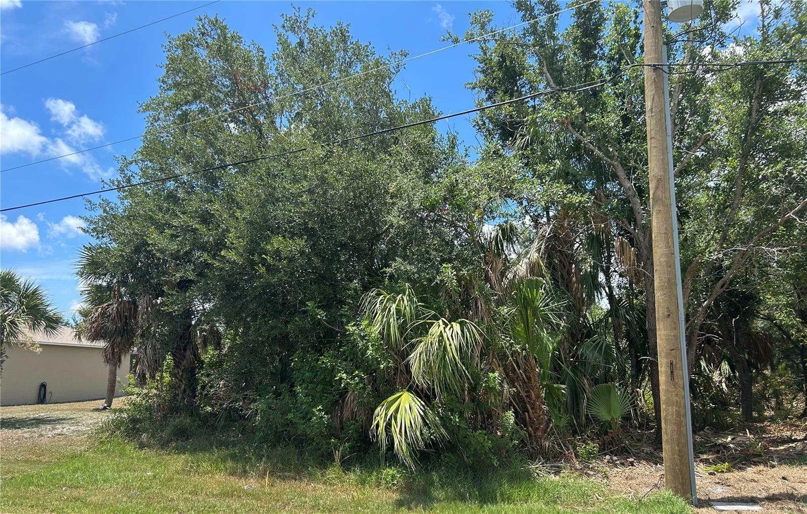 Property Photo:  11948 Newgate Avenue  FL 33981 