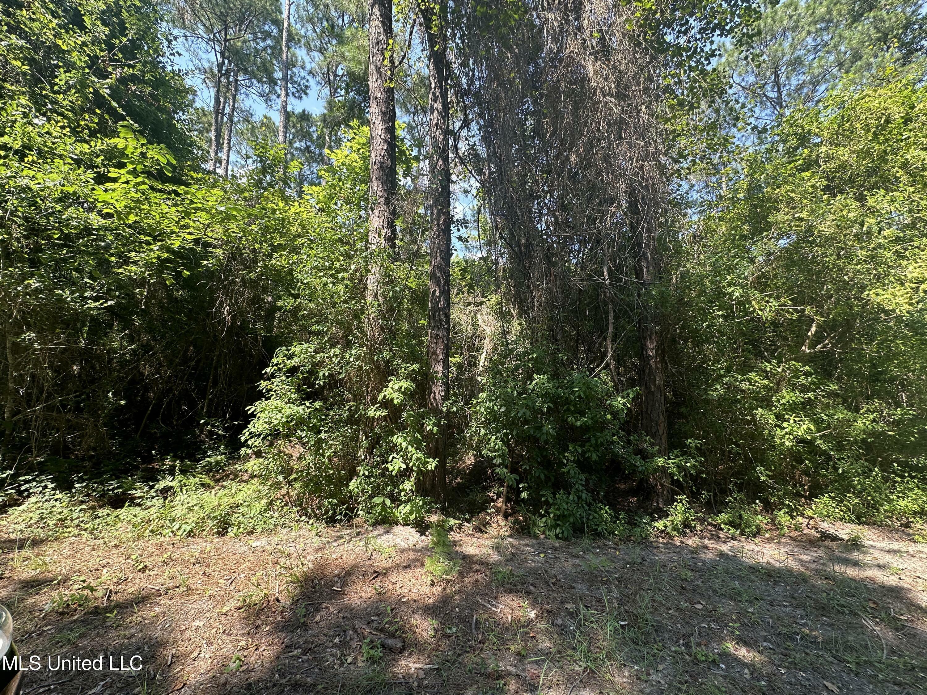 Property Photo:  Lot 2633 Sycamore Street  MS 39564 