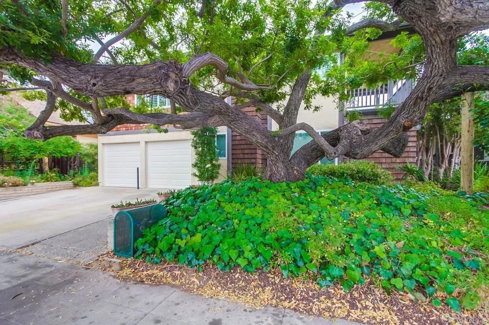 Property Photo:  3821 Albatross Street 1  CA 92103 