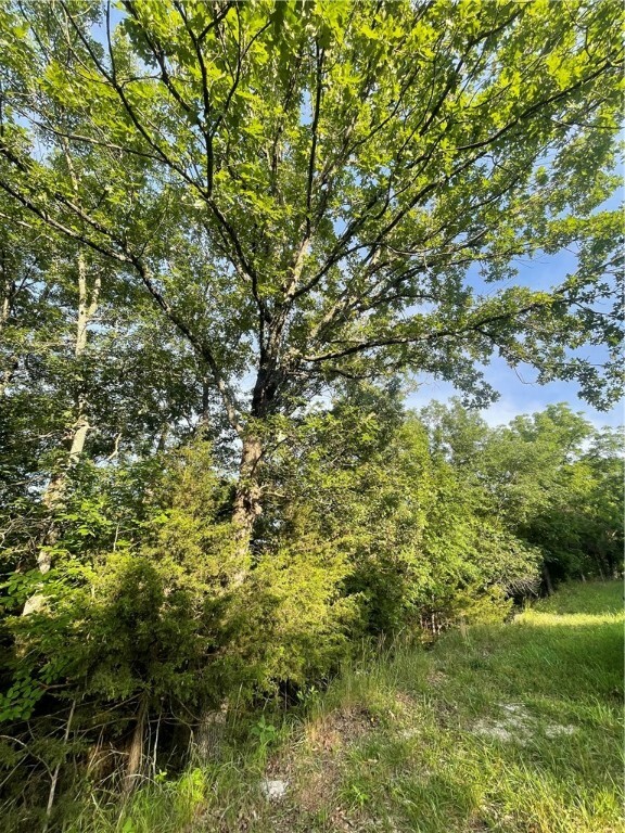 Property Photo:  000 Narrows Drive  AR 72631 