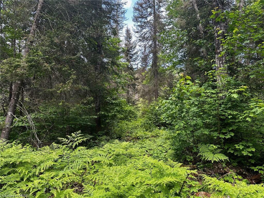 Property Photo:  Lot 25 Con 12 Snake Creek Road  ON P0H 1V0 