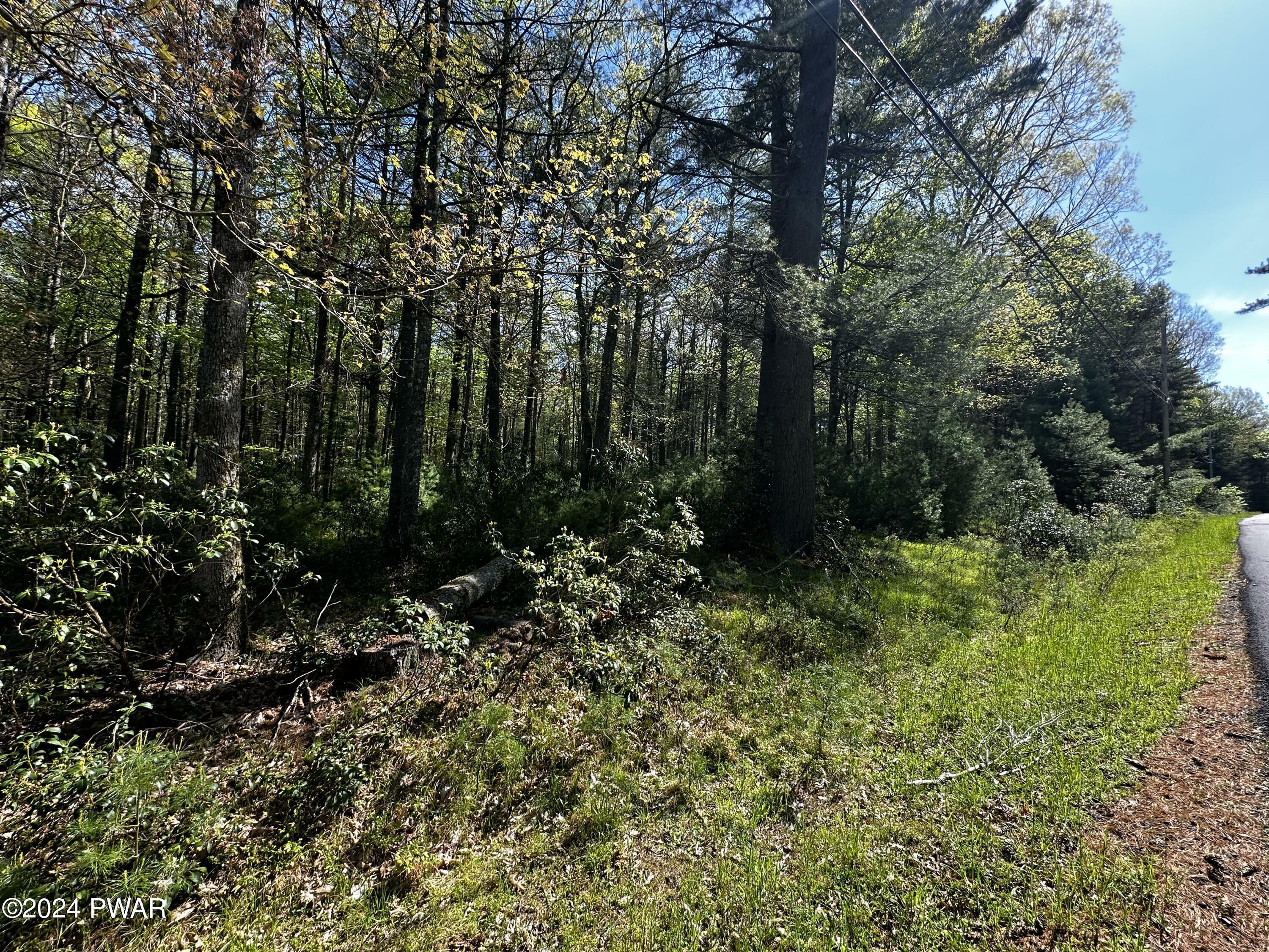 Property Photo:  Lot 29 Summit Dr  NY 12792 