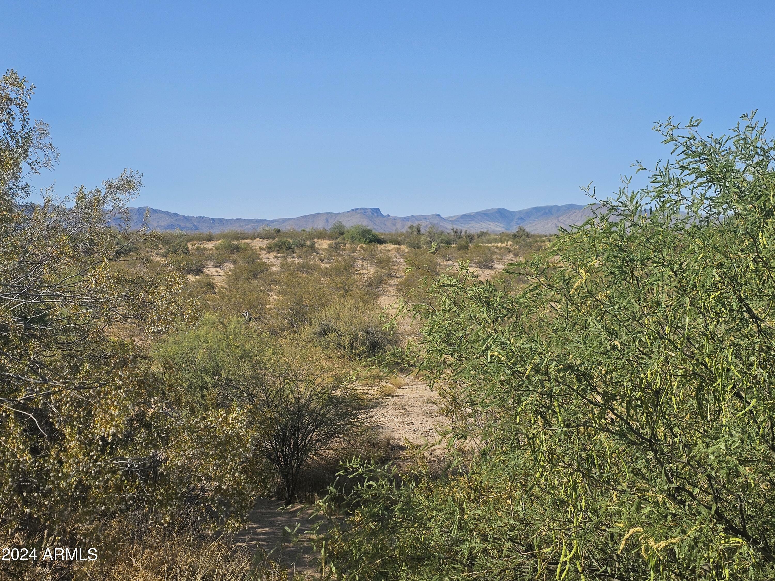 Property Photo:  35125 S Antelope Creek Road 20  AZ 85390 