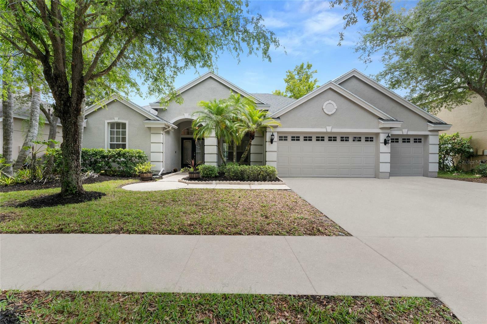 Property Photo:  19239 Autumn Woods Avenue  FL 33647 