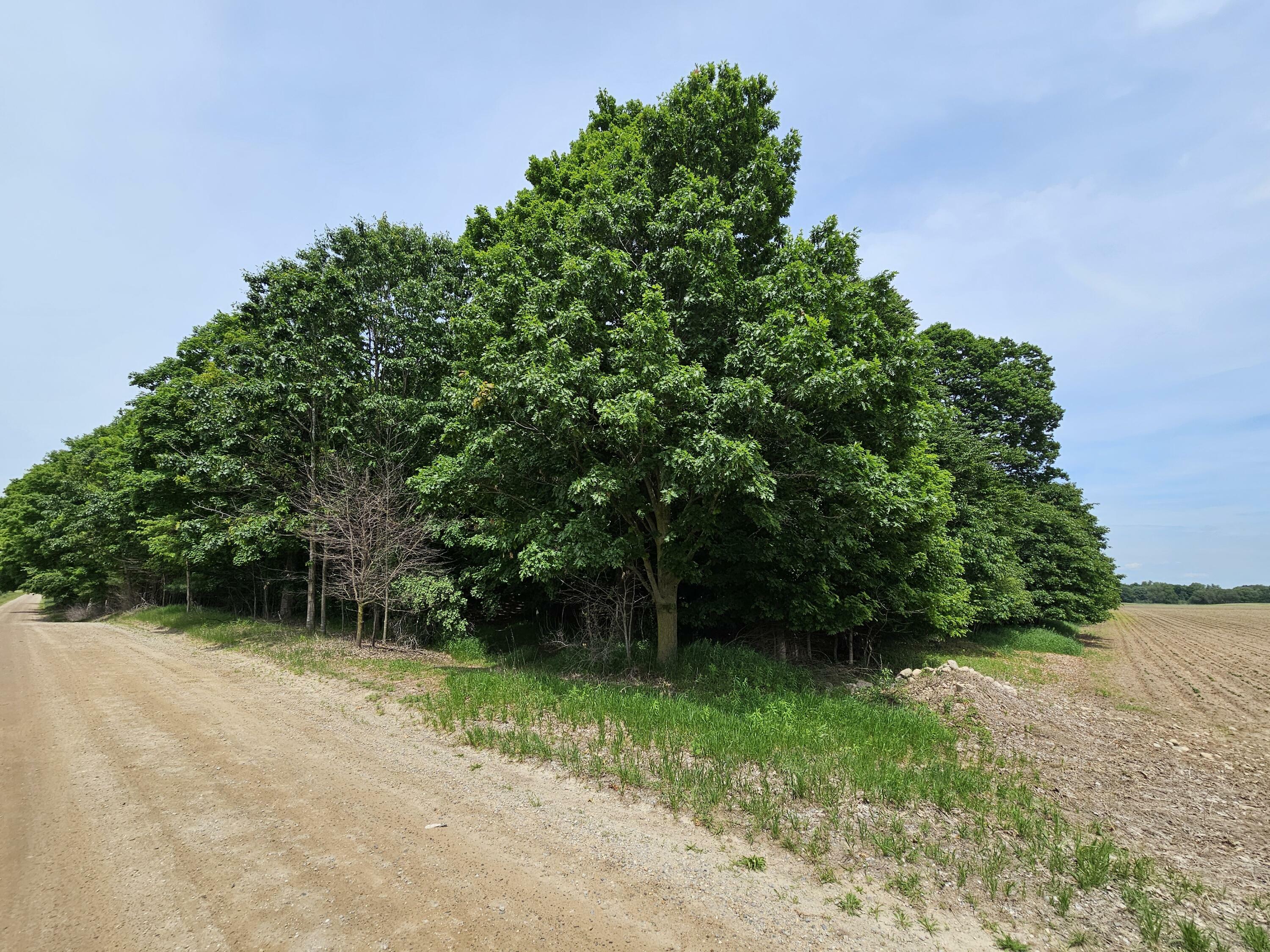 Property Photo:  Lot D Waterwheel Road  MI 48886 