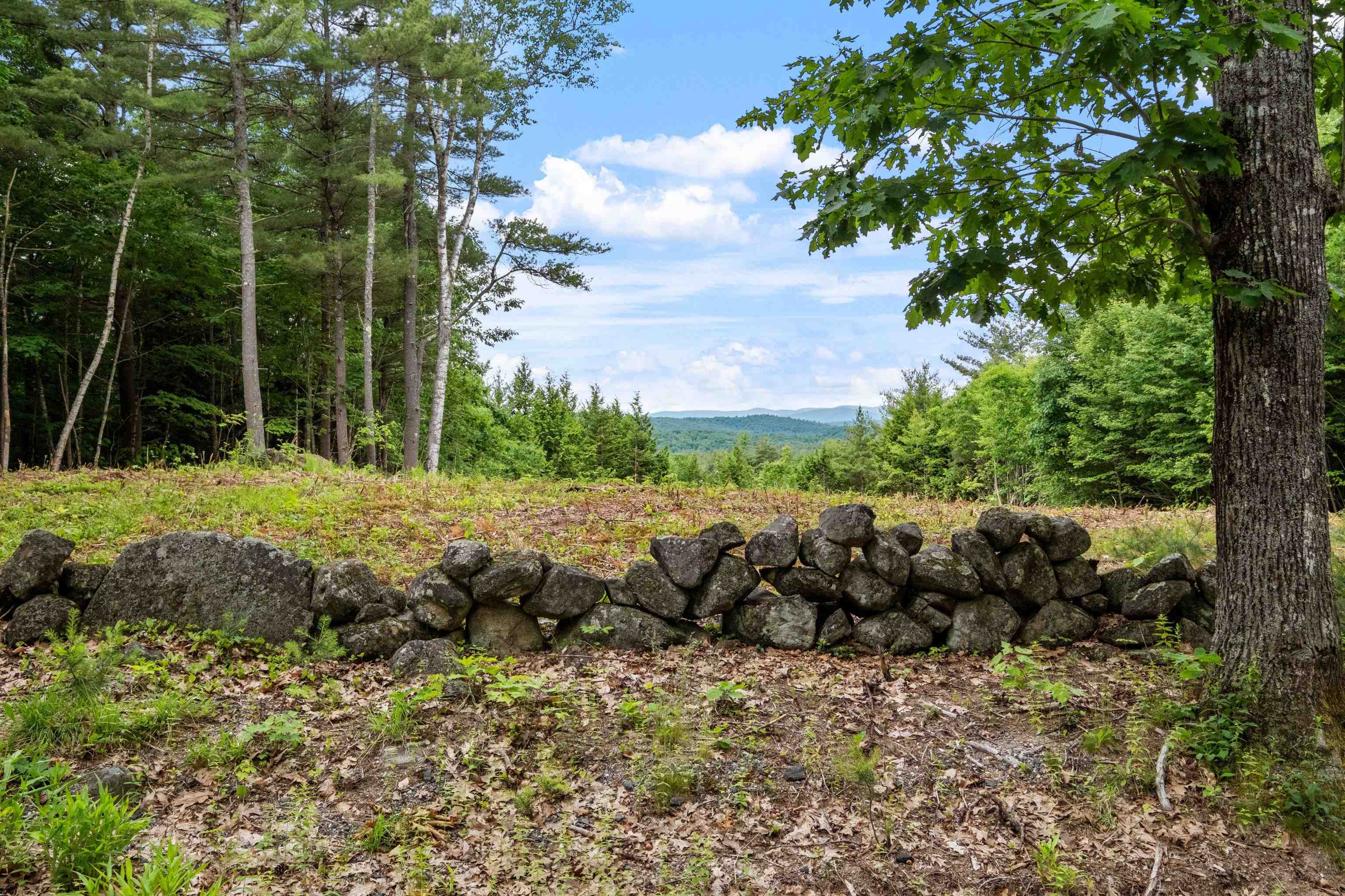 Property Photo:  797 Kearsarge Mountain Road  NH 03278 