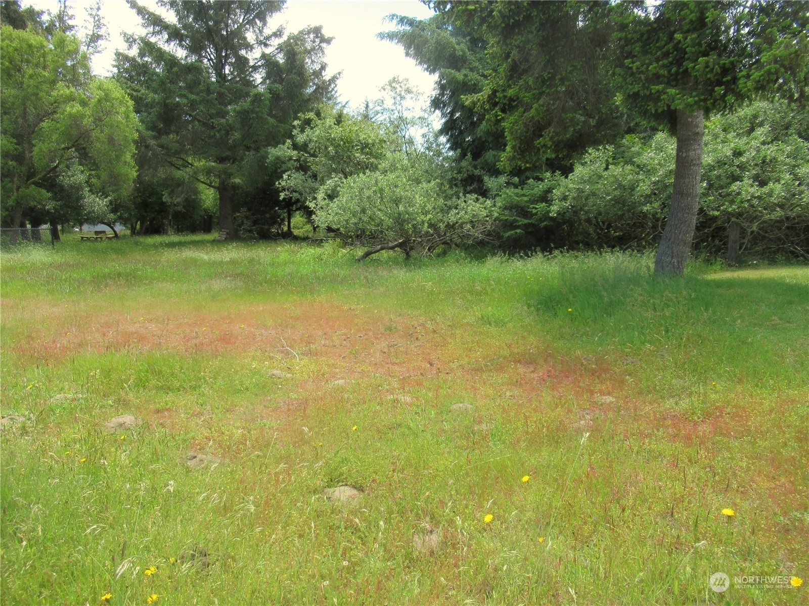 Property Photo:  353 Mount Olympus Avenue SE  WA 98569 