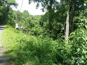 Property Photo:  Lot 30 Coon Creek Road 30  NC 28734 