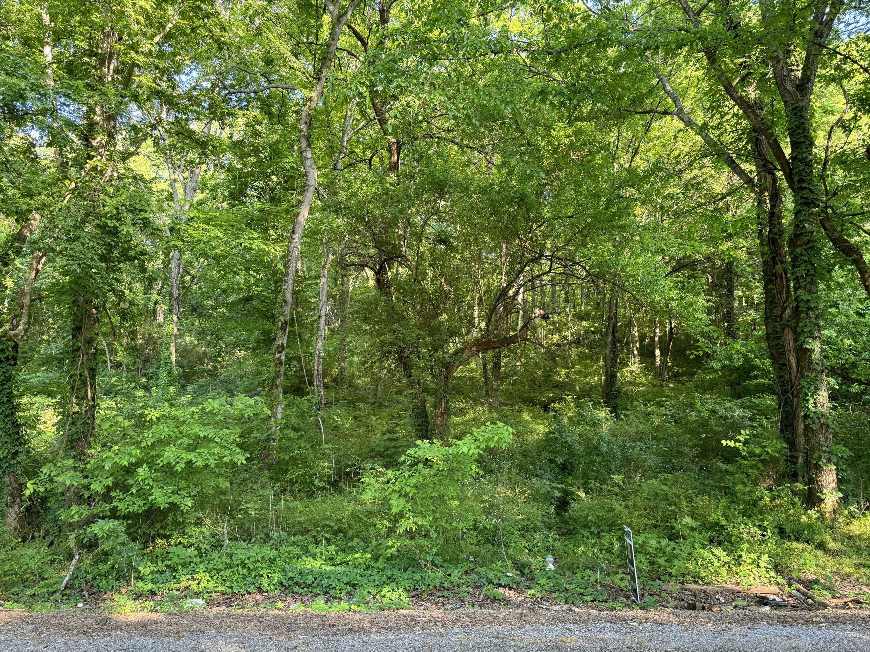 Property Photo:  13.34 Acre County Road 491  AL 35966 