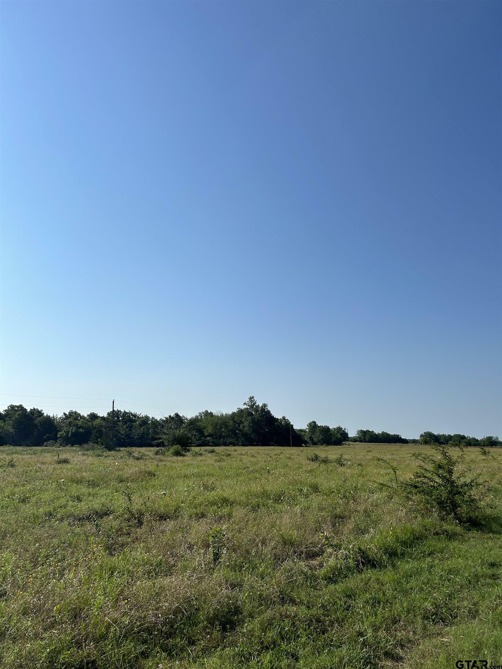 Property Photo:  Tbd Texas Hwy 71  TX 75487 