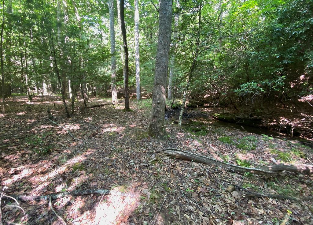 Property Photo:  Ll322 Warnock Mountain Acres Lane  GA 30512 