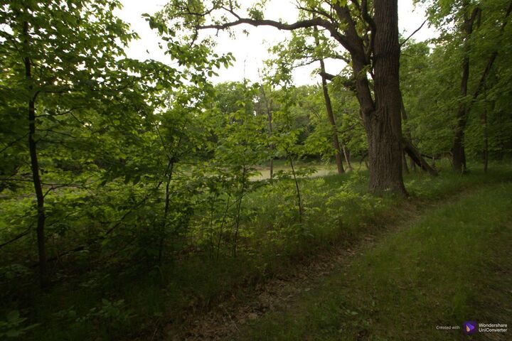 Property Photo: 4xxxx E Lake Lizzie Rd MN 56572