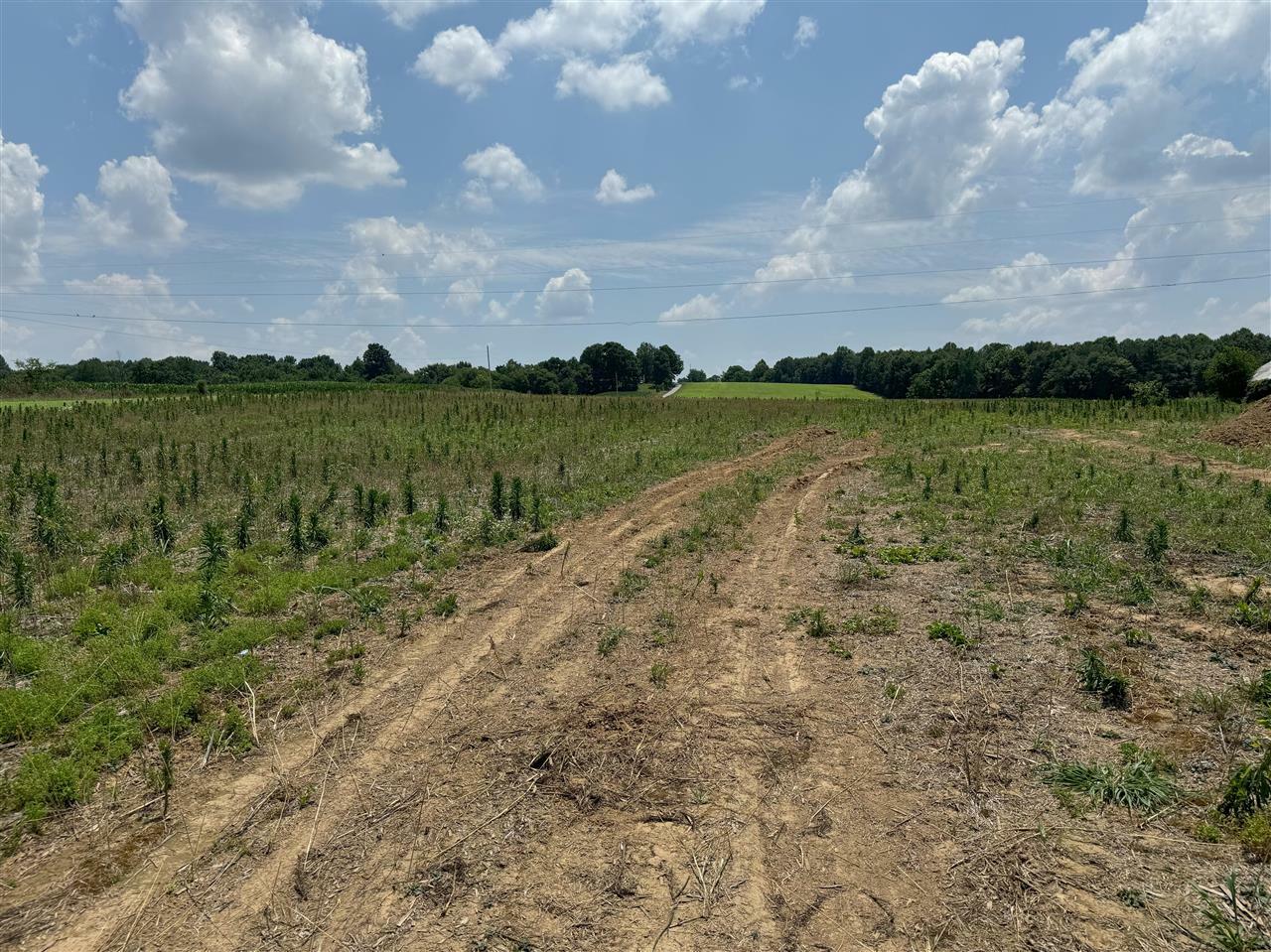 Property Photo:  Lot 4 Anna Sandhill Road  KY 42101 