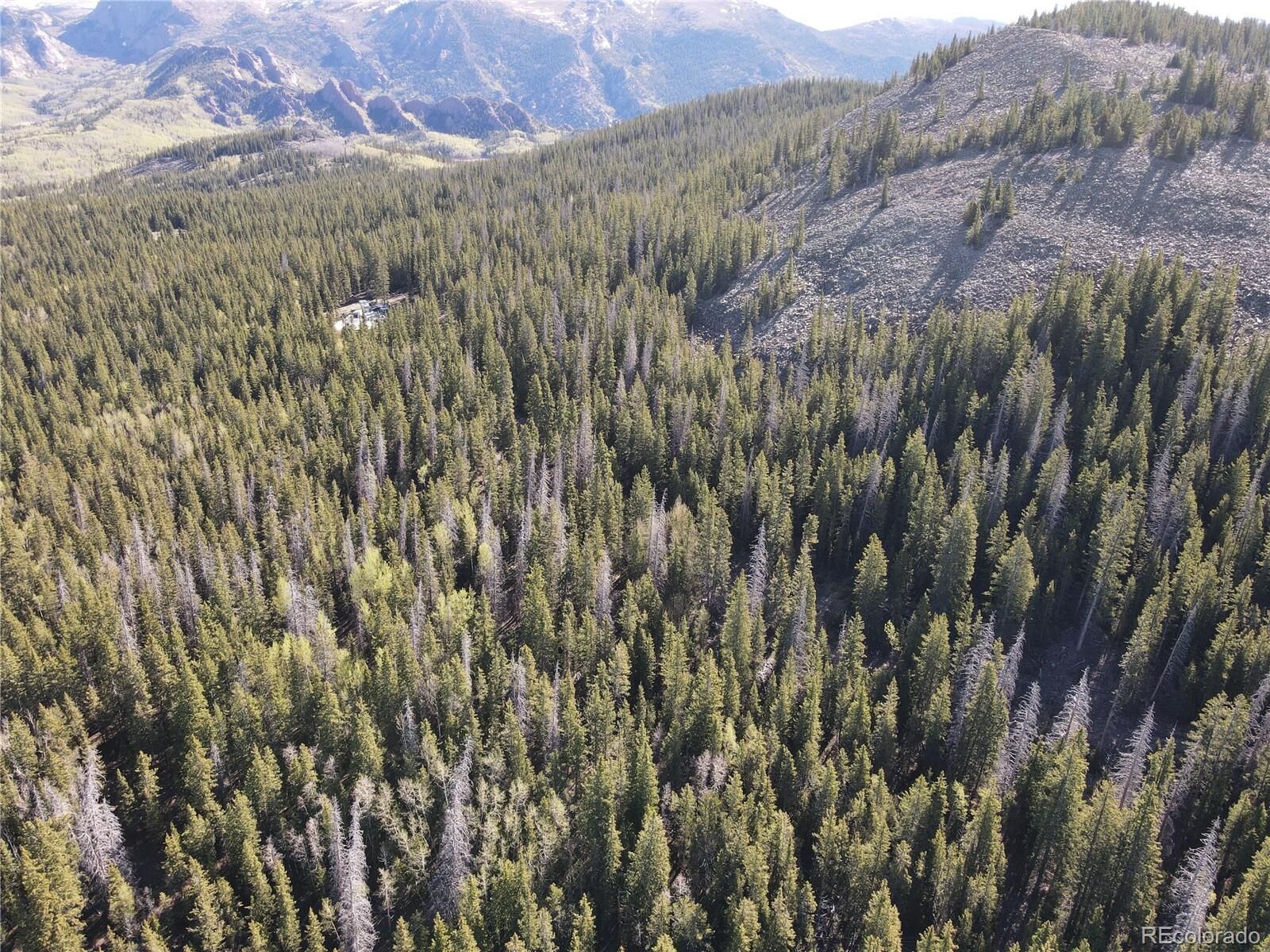 Property Photo:  Cow Mountain Group 3  CO 80813 