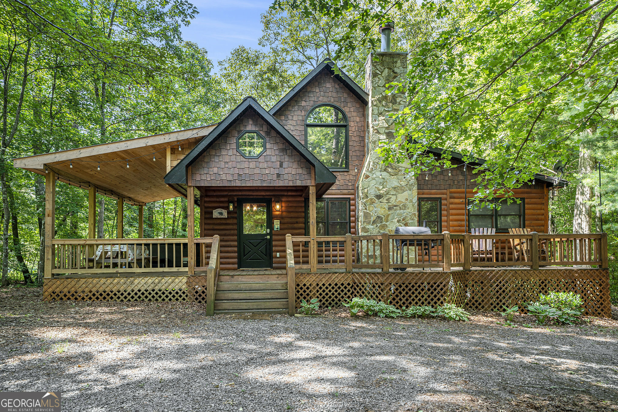 Property Photo:  162 Little Falls Drive  GA 30559 