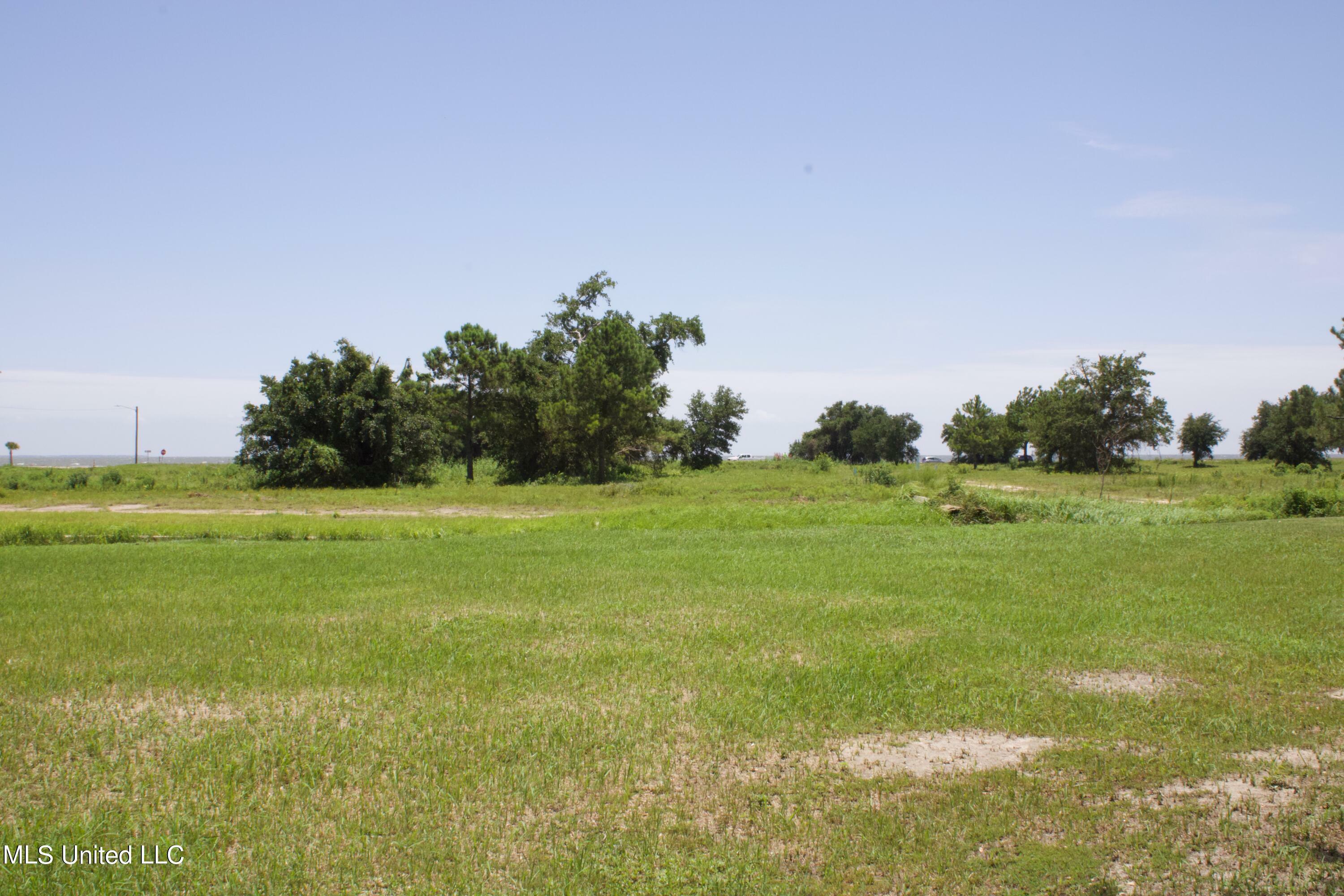 Property Photo:  Pitcher Point Avenue  MS 39560 