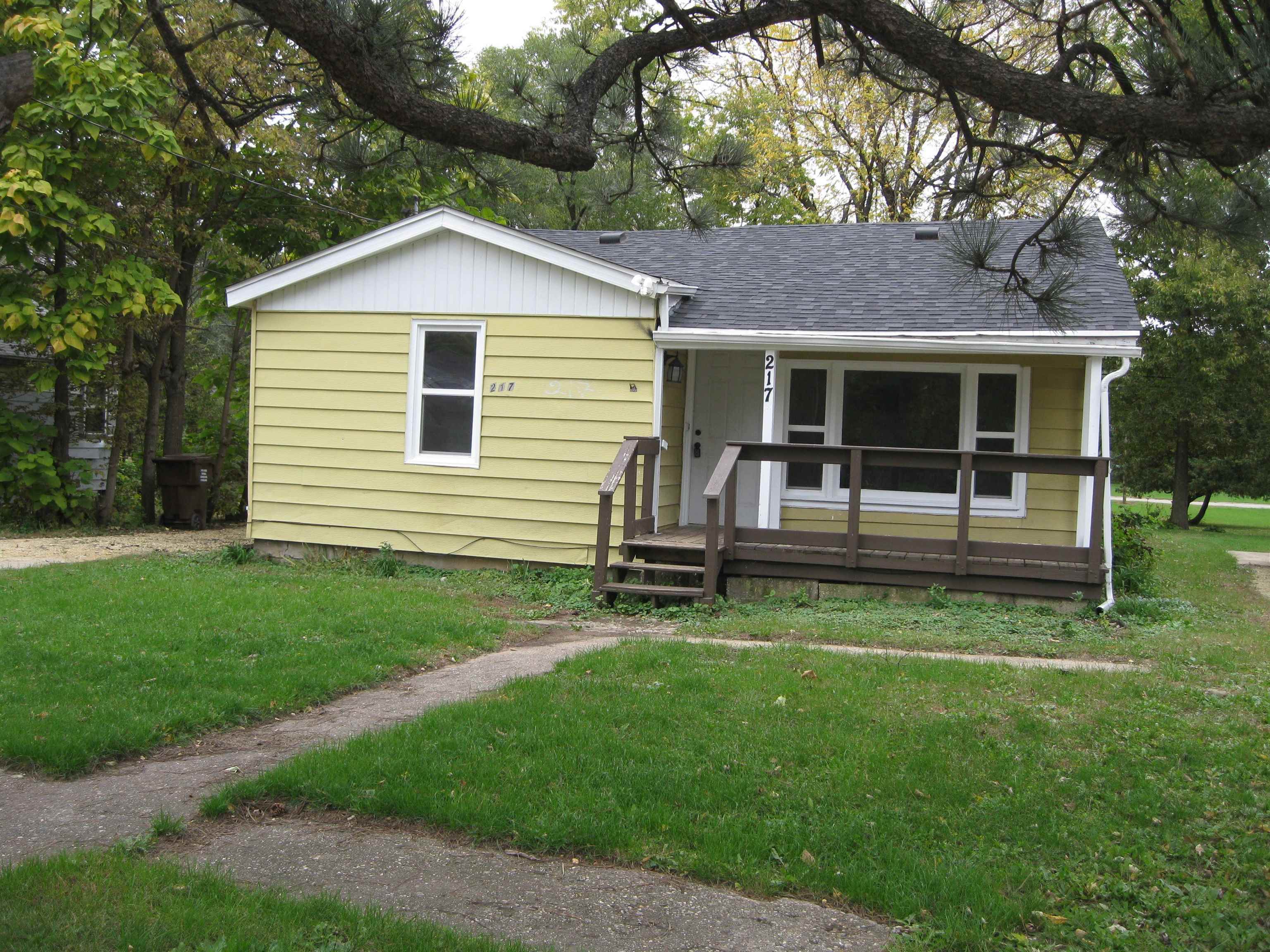 Property Photo:  217,219,219 1/2 S Moore Street  IL 61080 