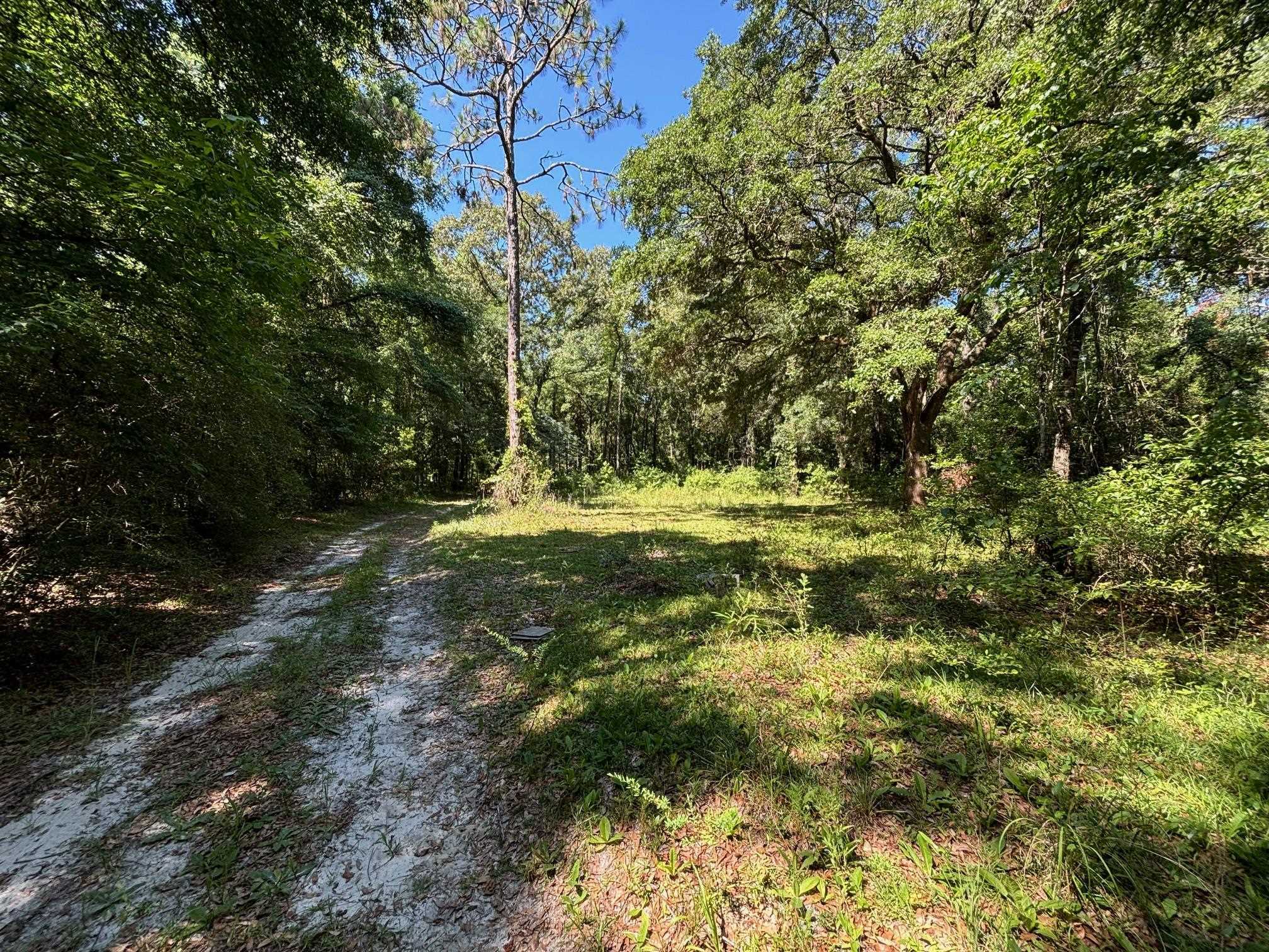 Property Photo:  1781 Wax Myrtle Road  FL 32305 