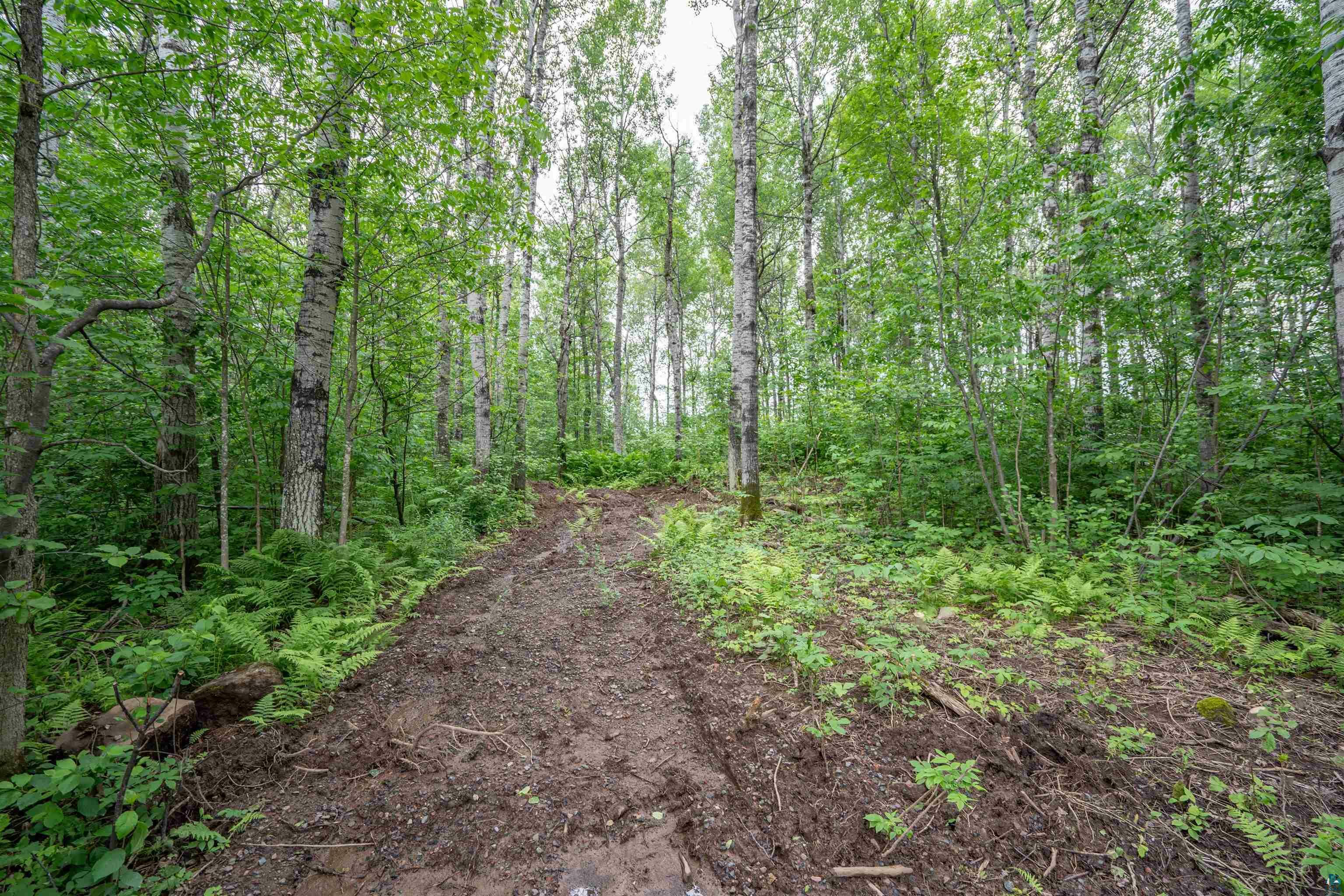 Property Photo:  5186 Hermantown Rd  MN 55811 