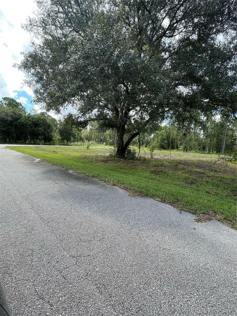 Property Photo:  5225 Trevino Avenue  FL 33872 