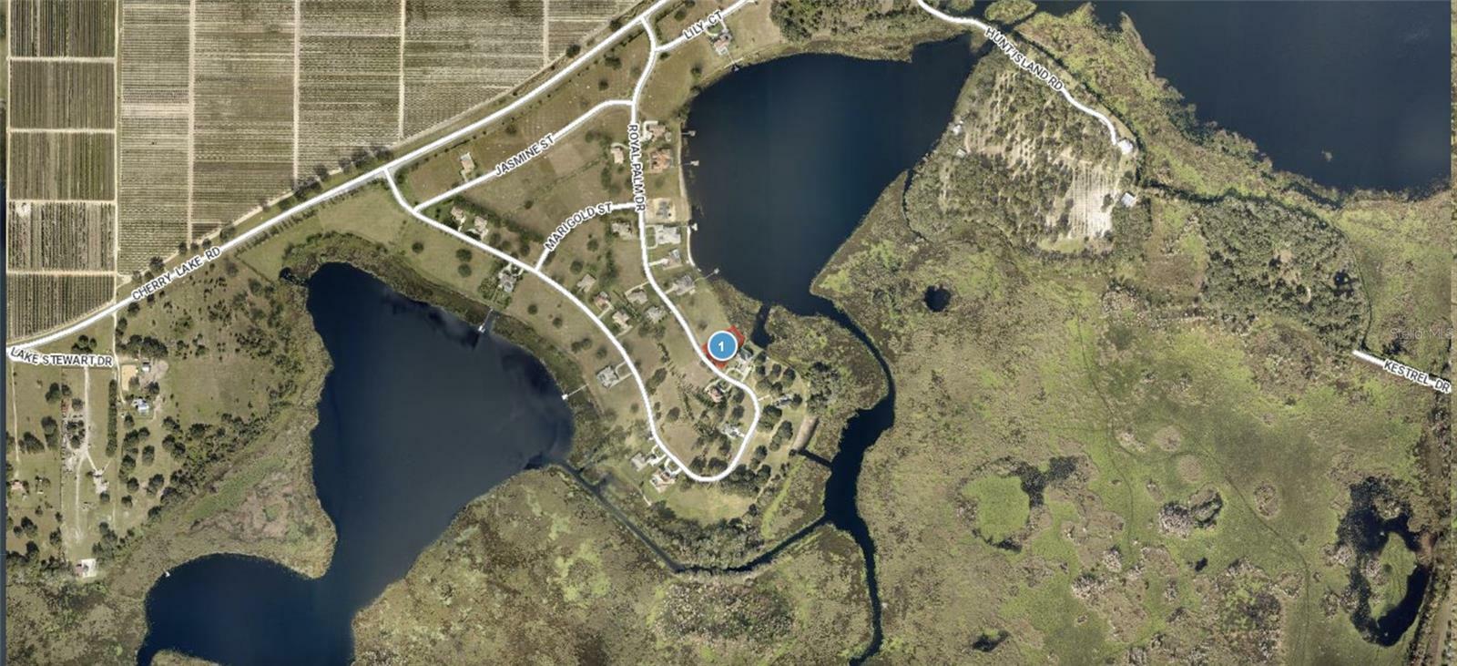 Lot 39 Royal Palm Drive  Groveland FL 34736 photo