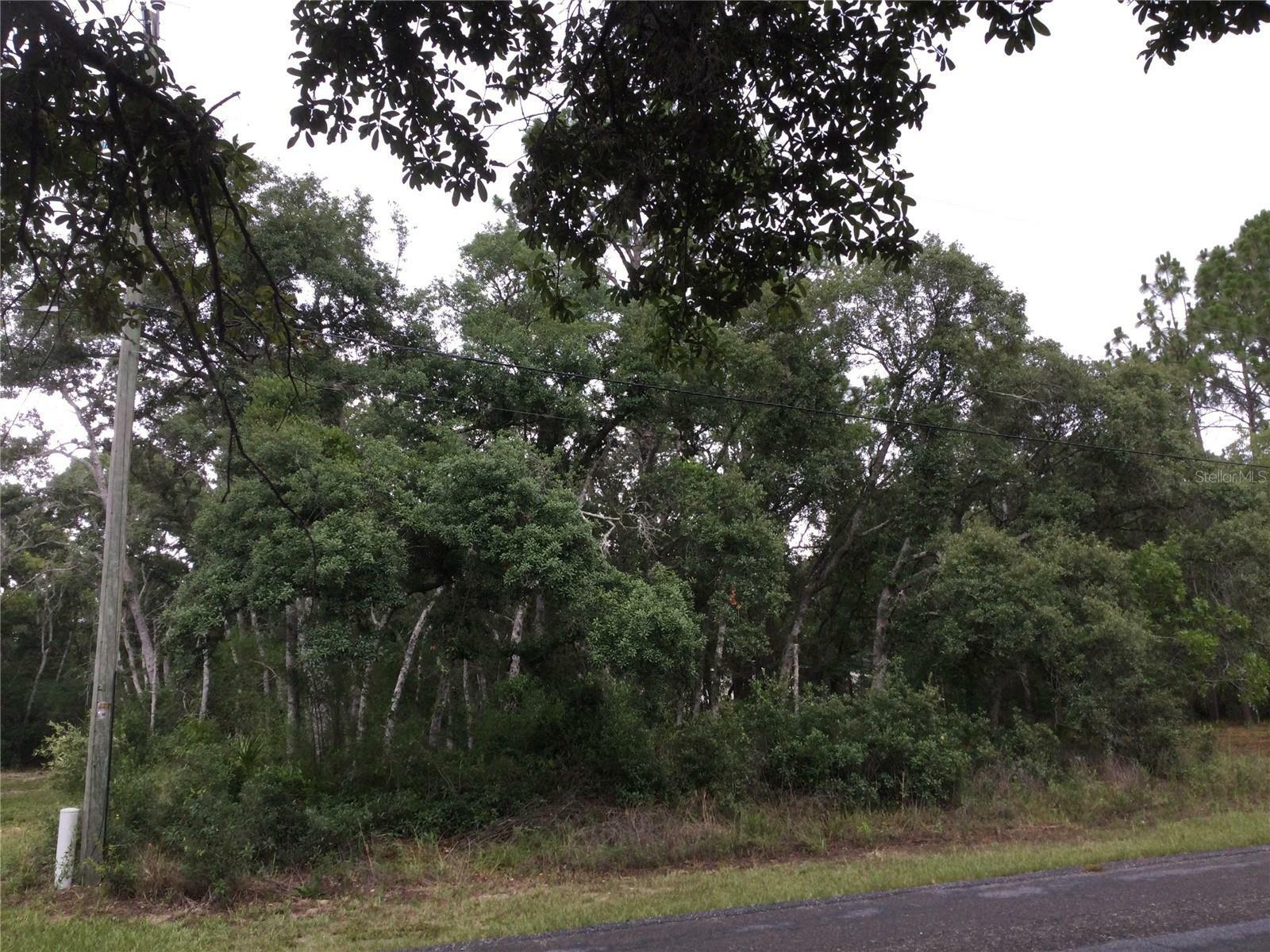 Property Photo:  7265 N Westbrook Way  FL 34433 