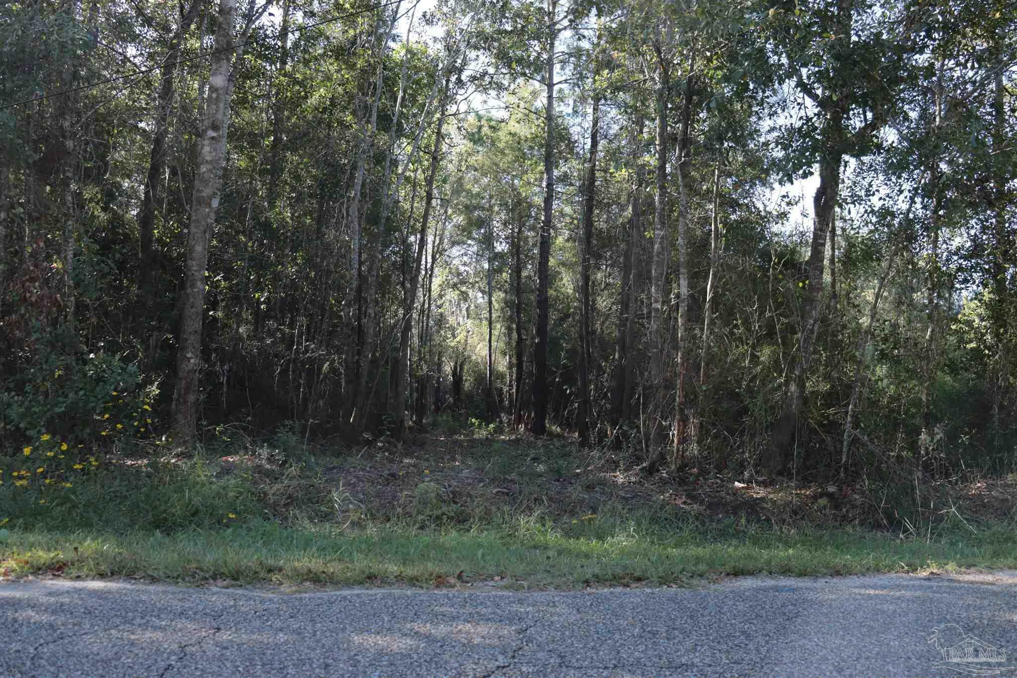 Property Photo:  000A Fieldcrest St  FL 32583 