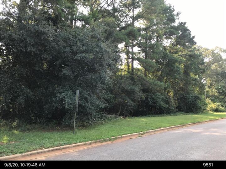 Property Photo:  Tr 1 Grand Island Drive  GA 31763 