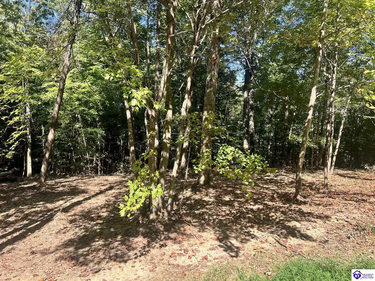 Property Photo:  Lot 472 Hedge Iron Drive Unit 6  KY 42259 