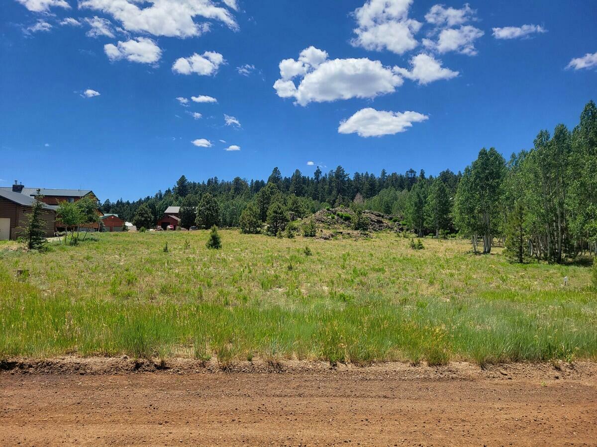 Property Photo:  4175 N Sundance Kid Ln  UT 84762 