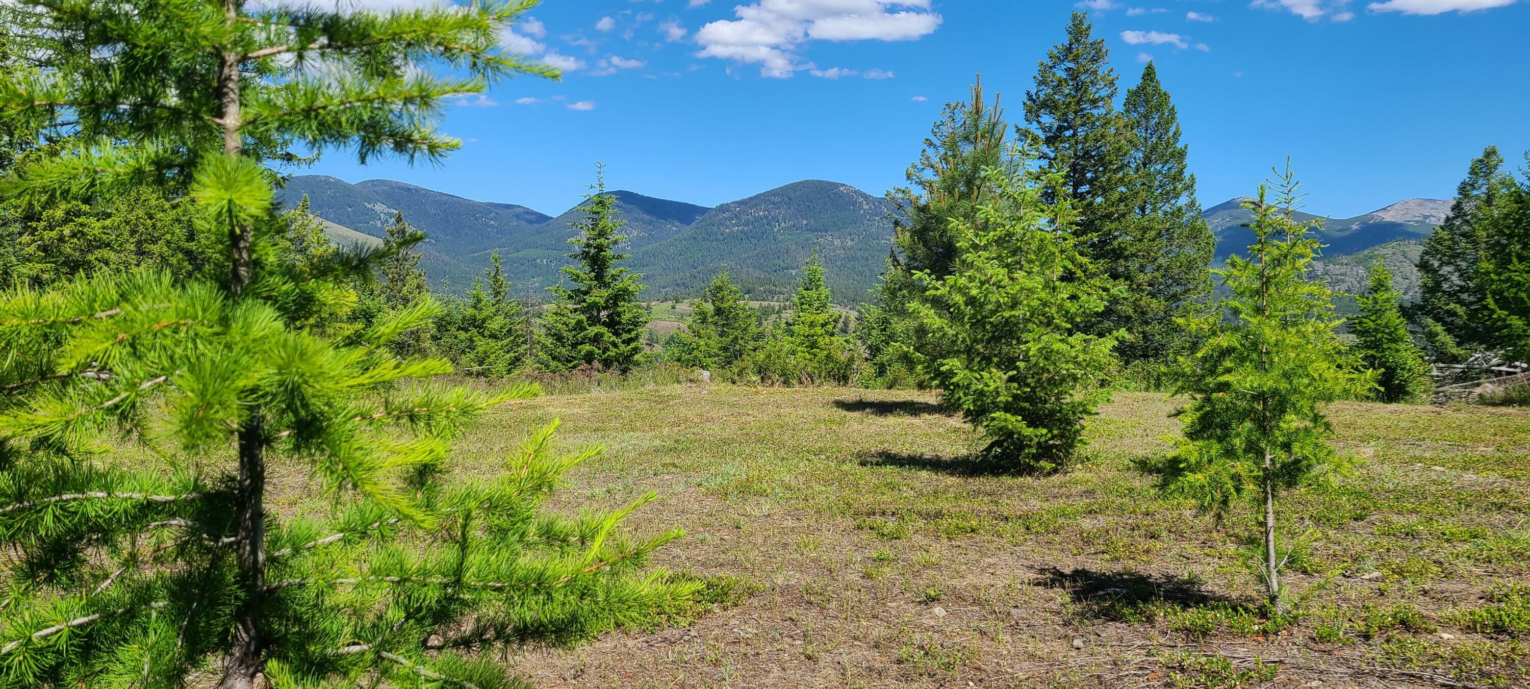 Property Photo:  Tbd Old Kettle Falls Rd  WA 99166 