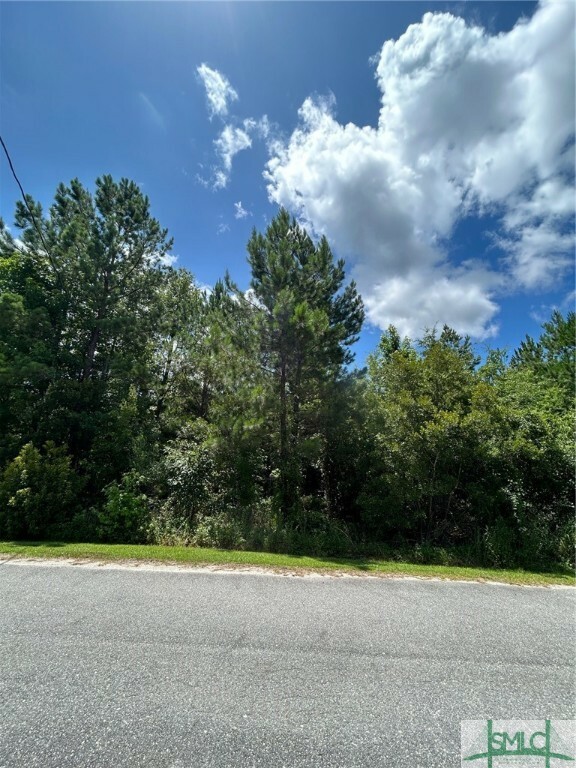 Property Photo: Lot 18 Main Trail GA 31320