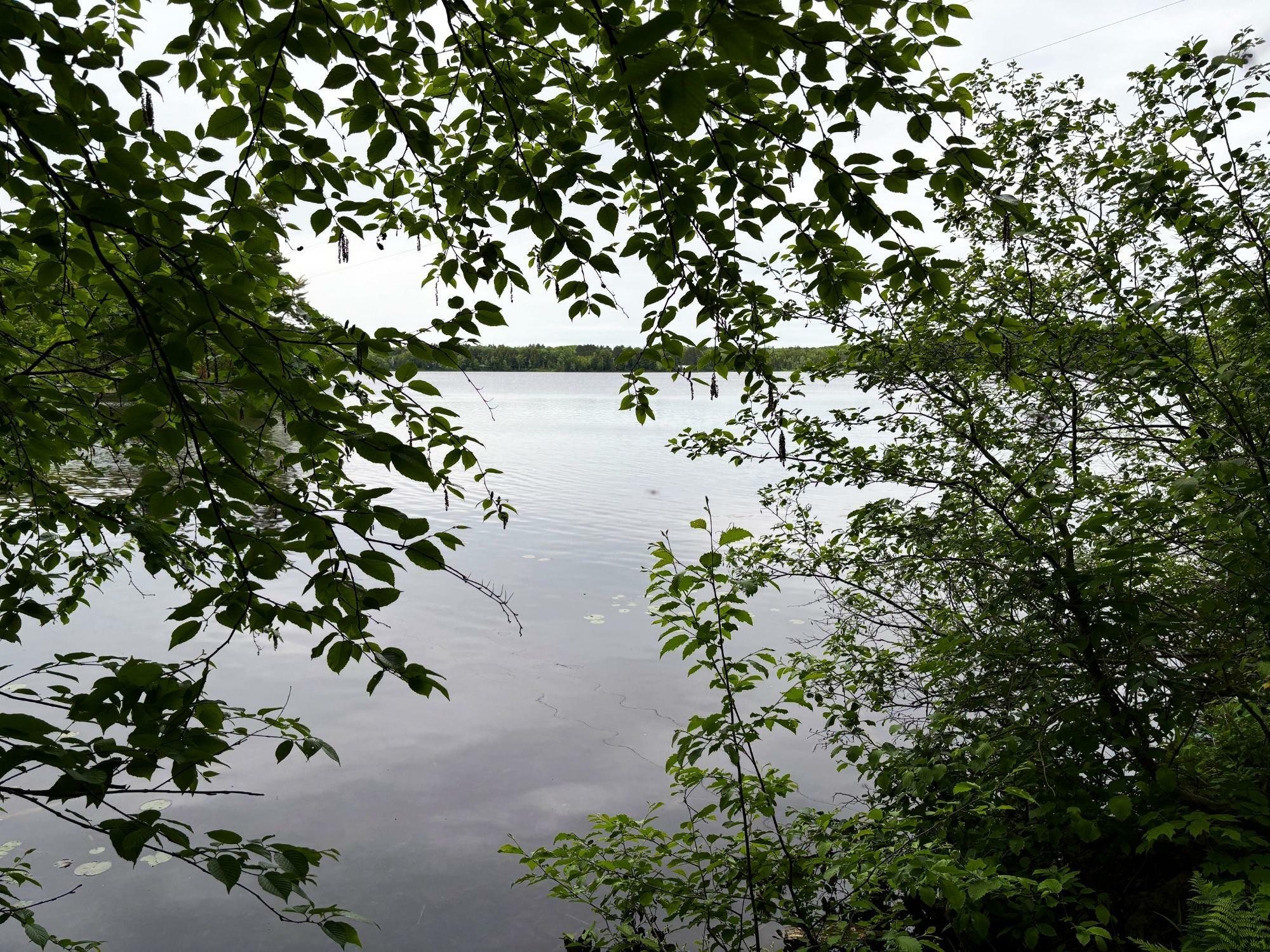 Property Photo:  On Pardee Lake Rd  WI 54534 