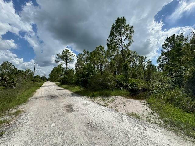 Property Photo:  29460 Clara Drive  FL 33982 