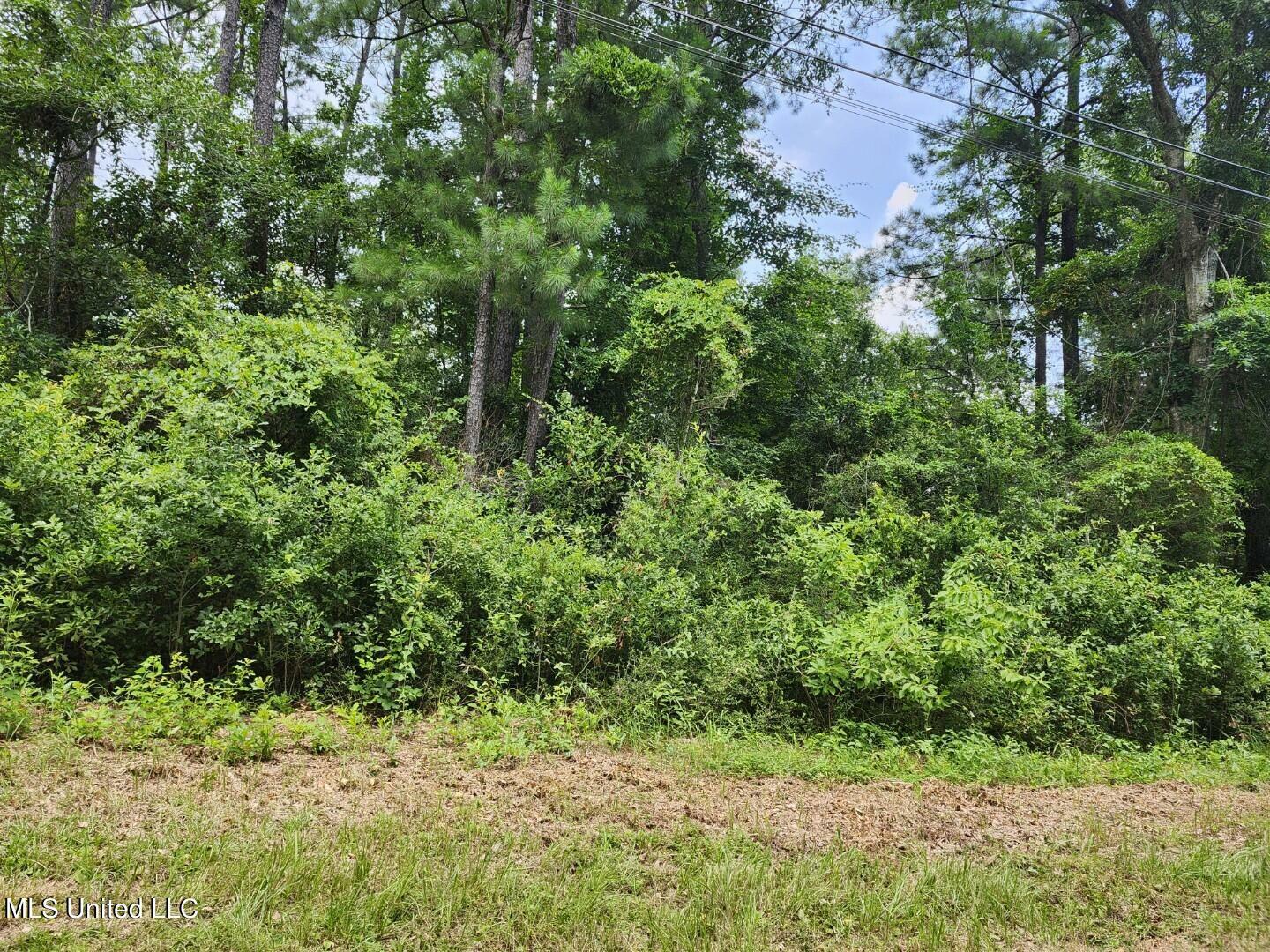 Property Photo:  0 Marlin Cove  MS 39553 