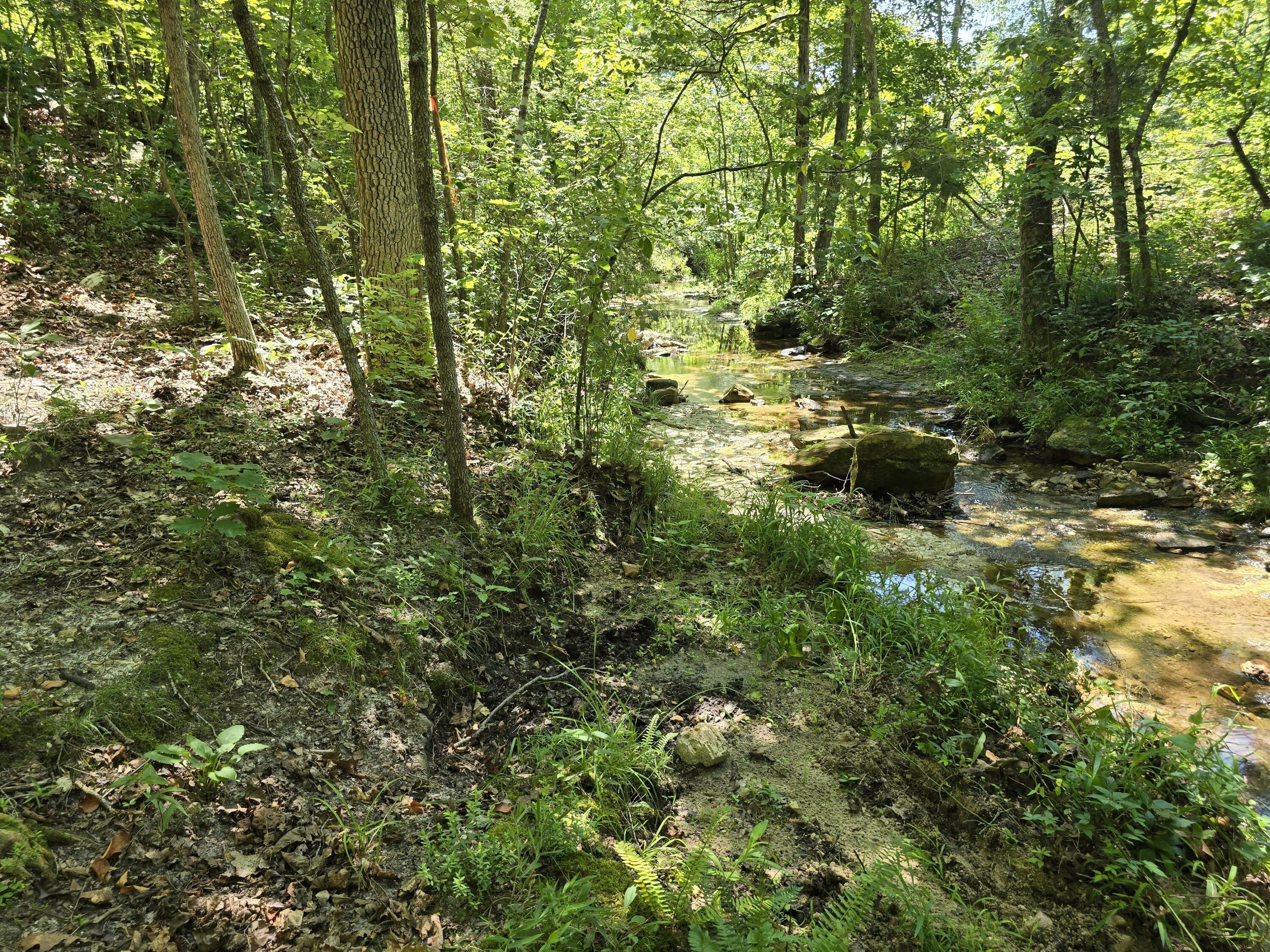 Property Photo: Box 653-E Route 2 MO 65608