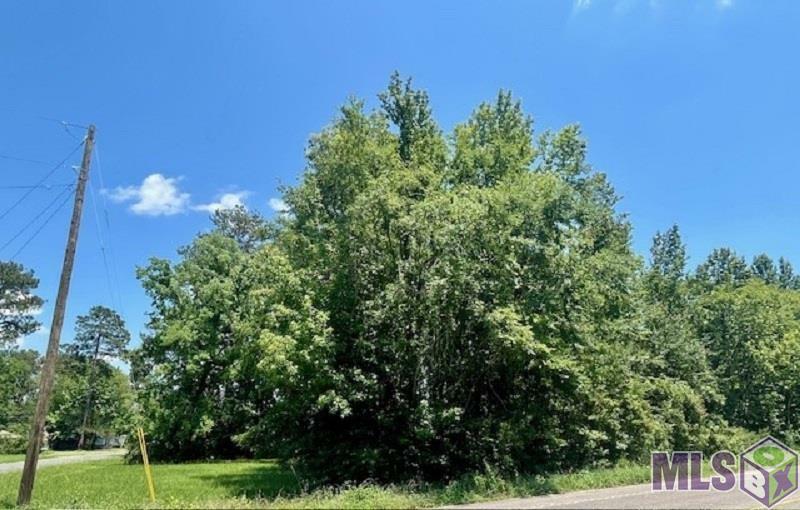 Property Photo:  Lot 50 Hillcrest Dr  LA 70791 