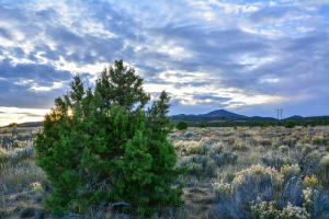 Property Photo:  Hwy 56 Lot 1 (M And N Ranch)  UT 84720 