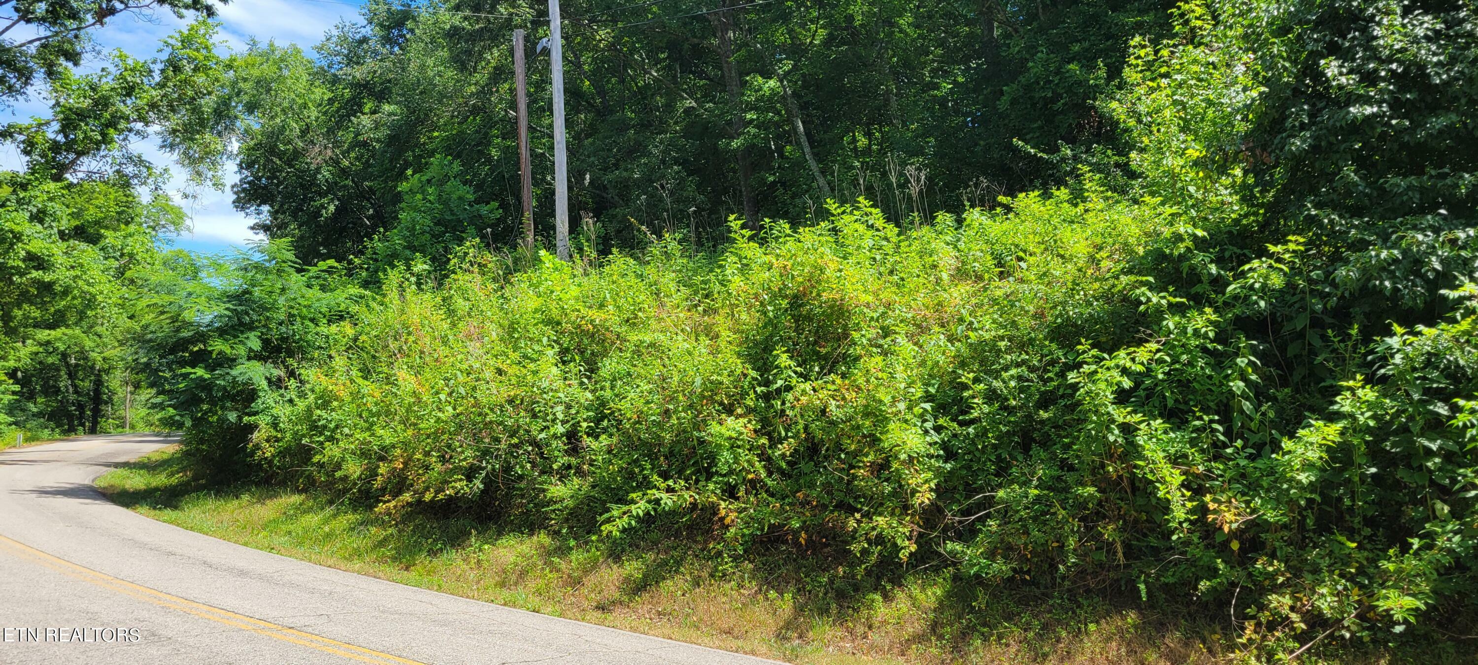 Property Photo:  0 Bowman Bend Rd  TN 37748 