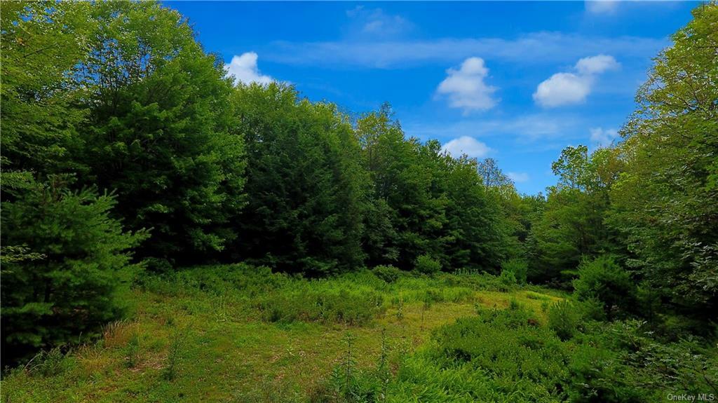 Property Photo:  Pleasant Valley Road  NY 12566 