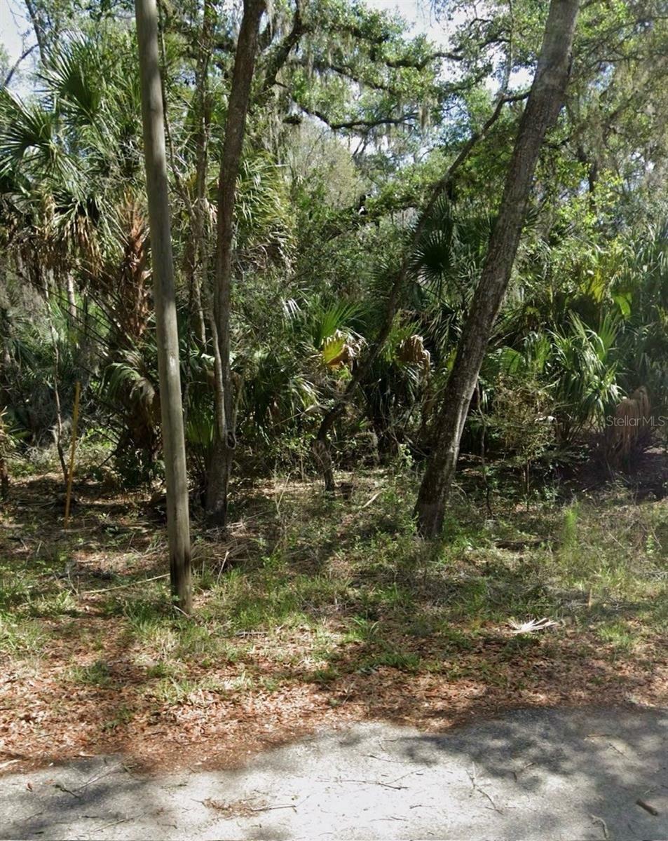 Property Photo:  8099 W Catrina Lane  FL 34428 