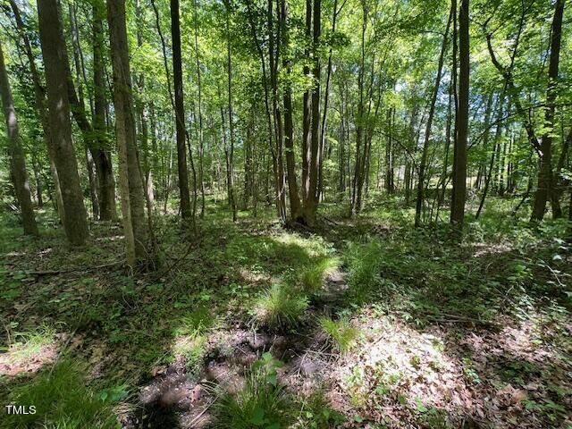4724 Sunset Lake Road  Apex NC 27539 photo