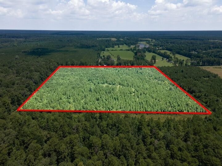 1455 Neal Road  Huntington TX 75949 photo