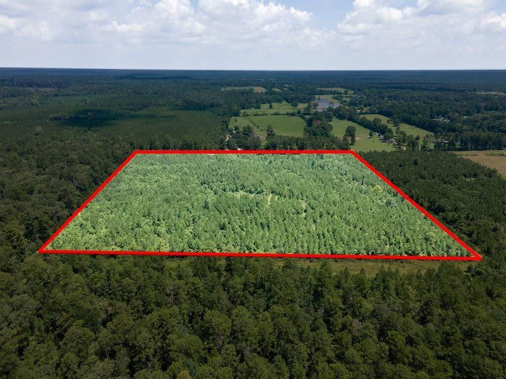 Property Photo:  1455 Neal Road  TX 75949 
