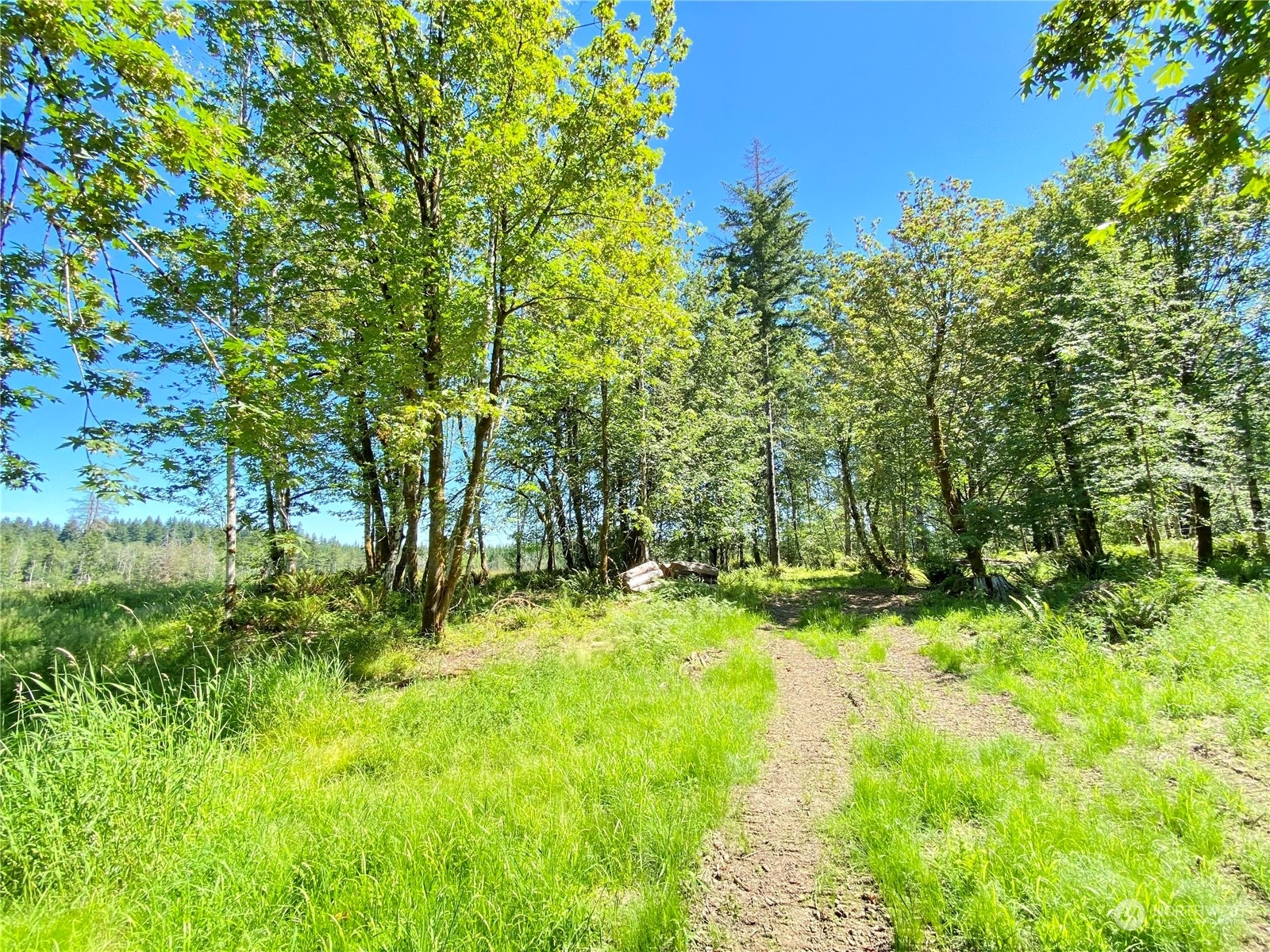 Property Photo:  4271 Lot B SE Lynch Road  WA 98584 